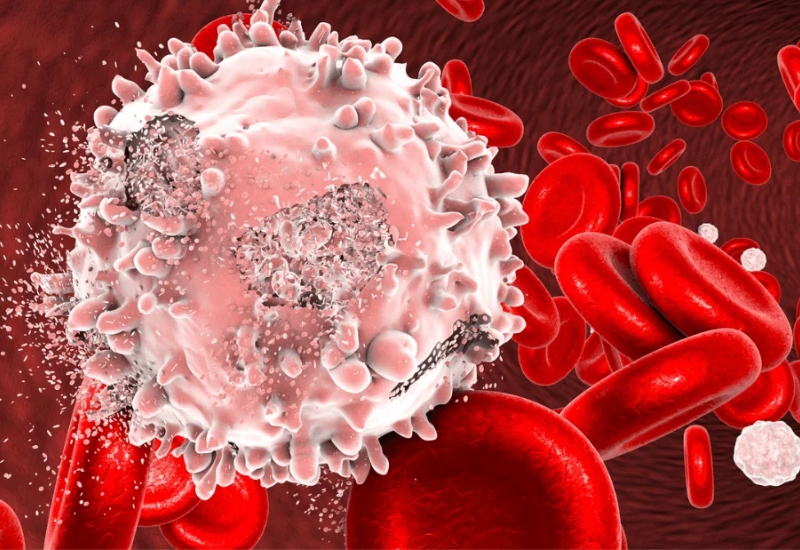 nguy cơ di truyền của hemophilia