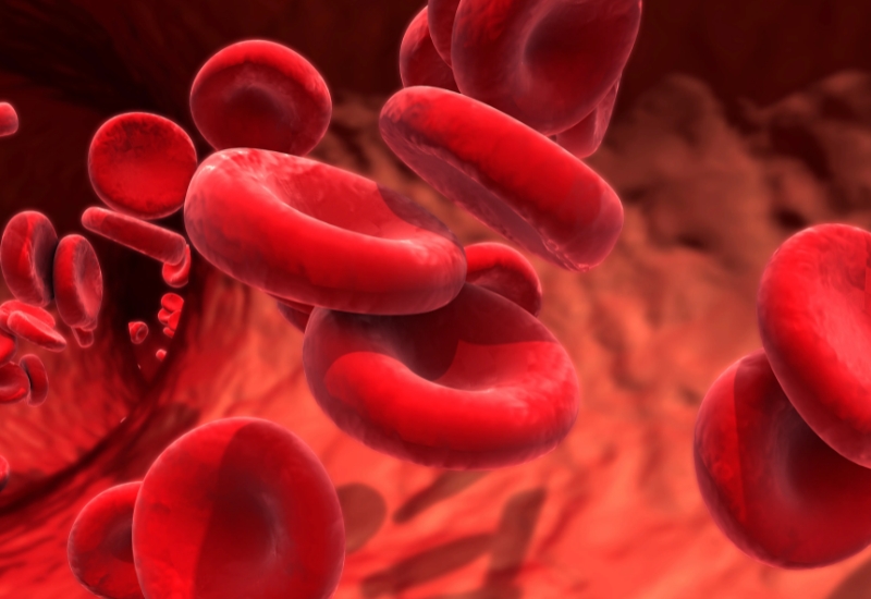 phác họa đồ trị hemophilia